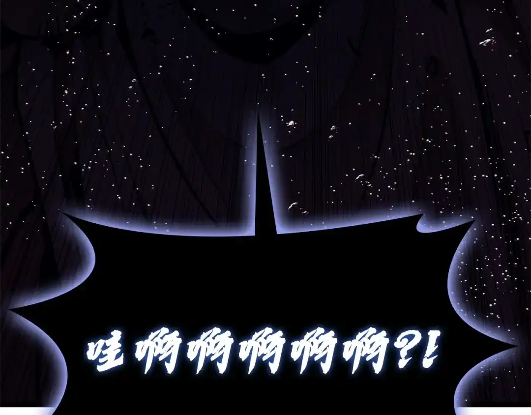 第207页