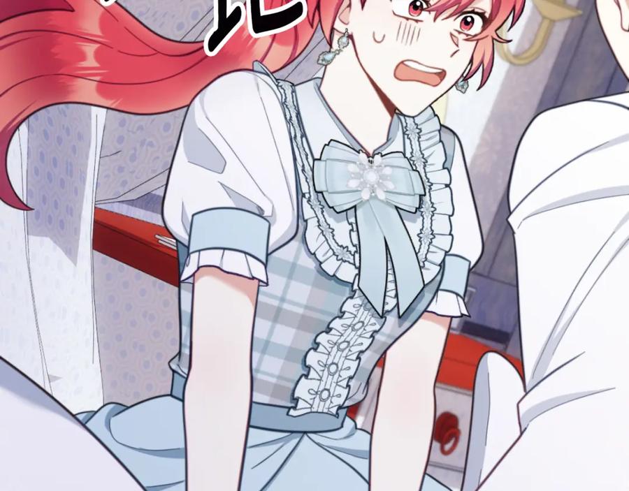 第204页