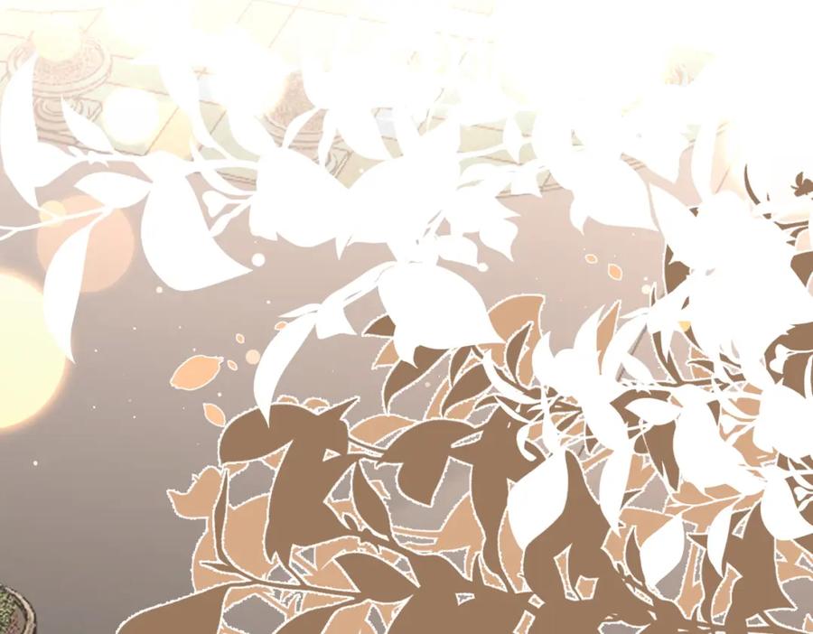 第239页