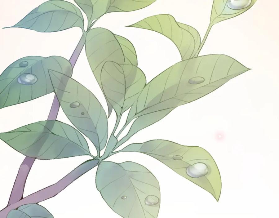 第194页