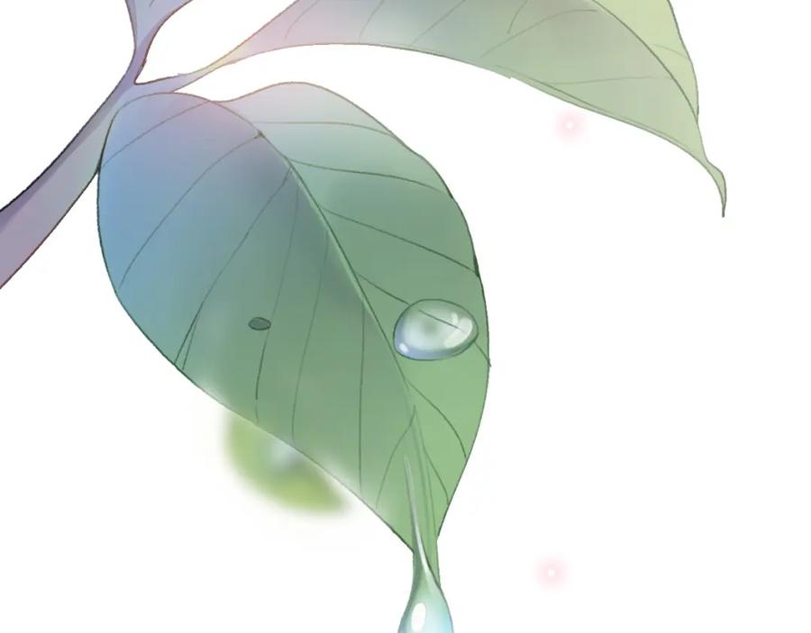 第196页