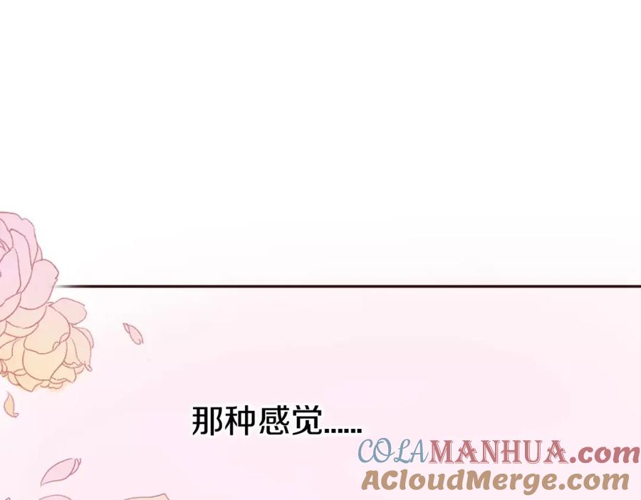 第217页