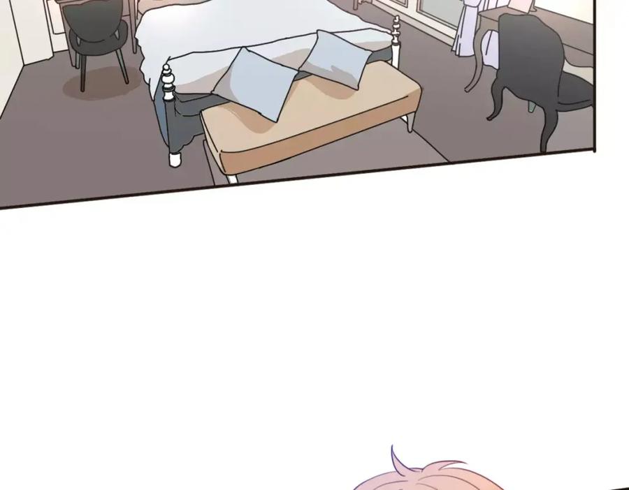 第264页