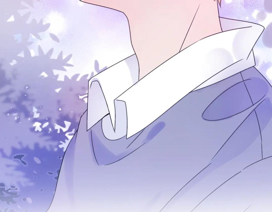 第223页