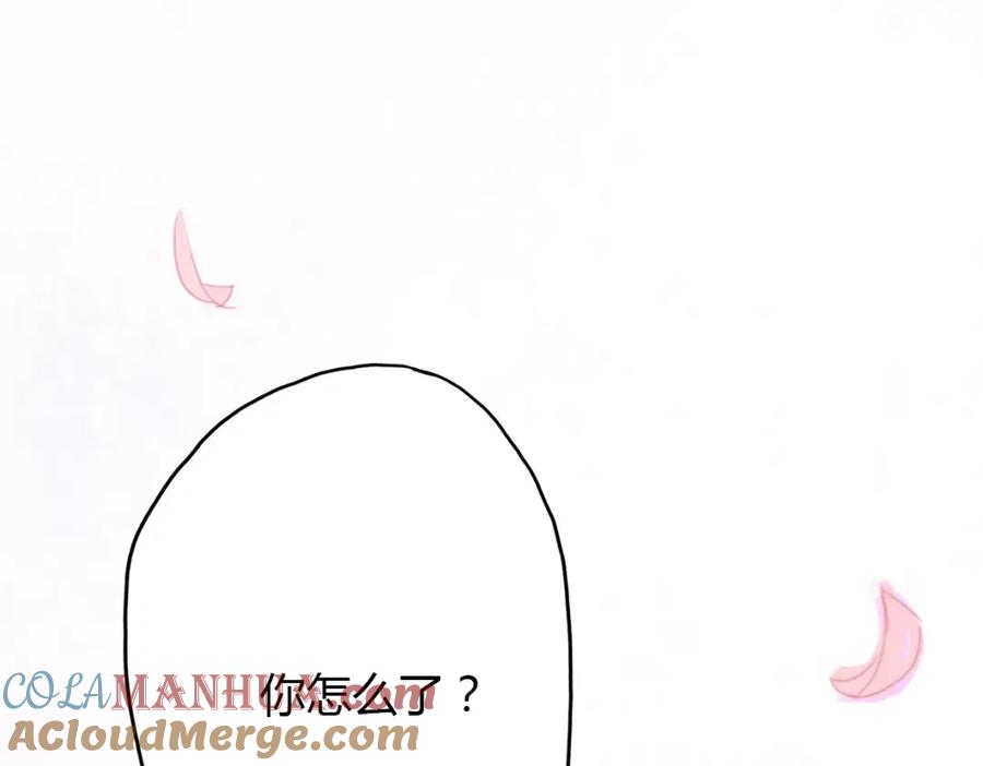 第205页