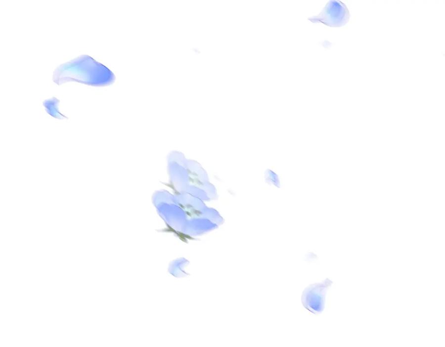 第186页