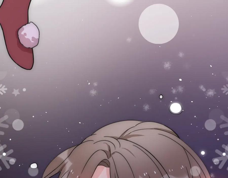第204页