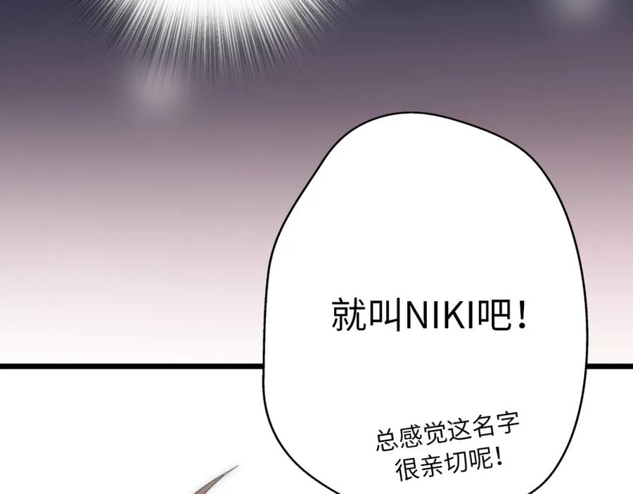 第256页