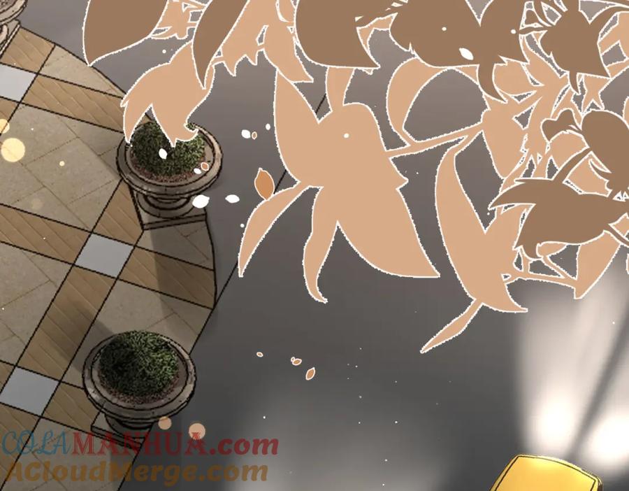 第242页