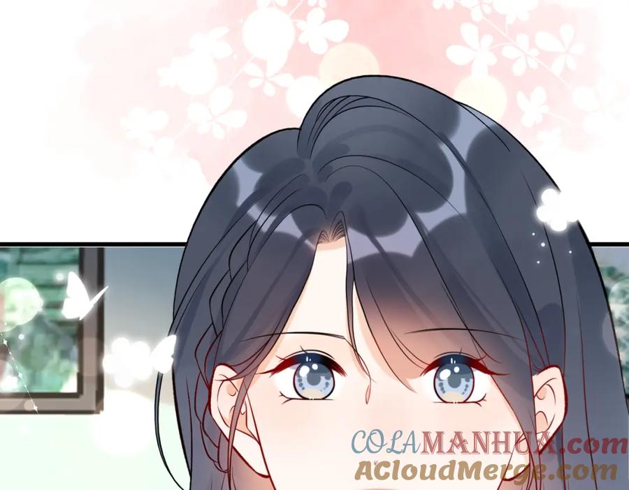 第242页