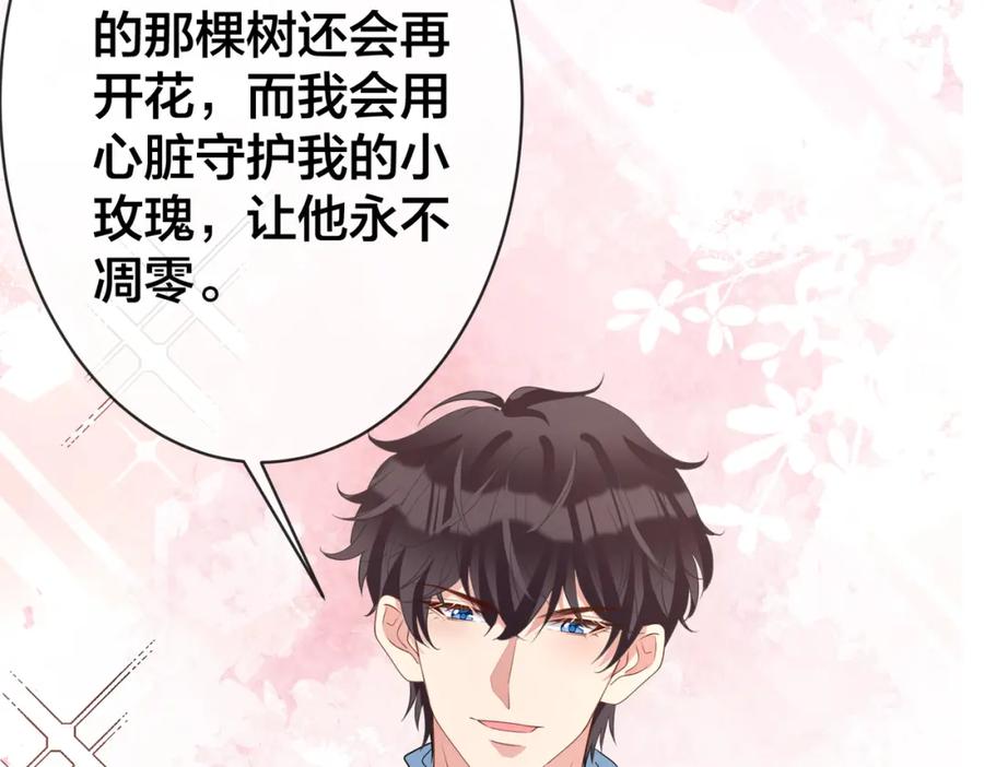 第221页