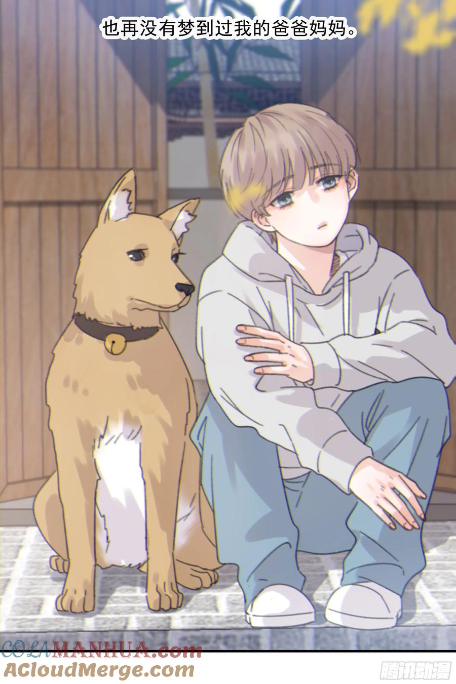第43页