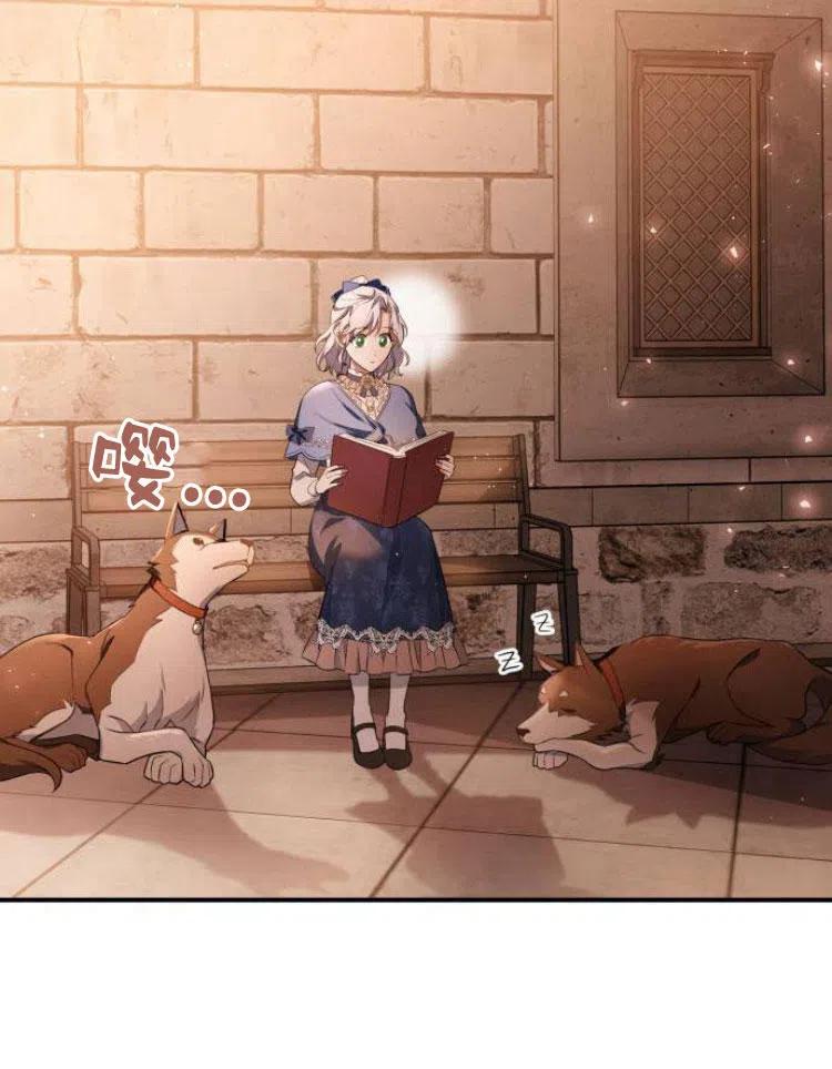 第54页