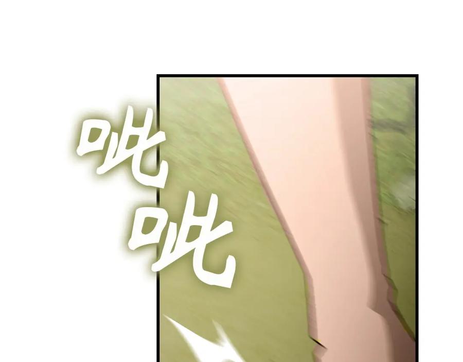 第208页