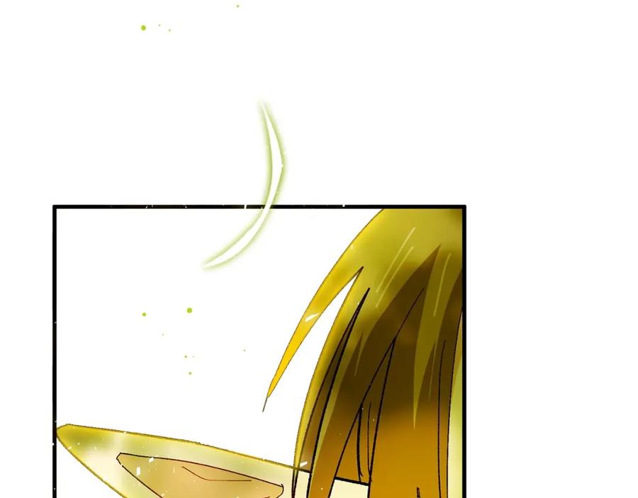 第223页