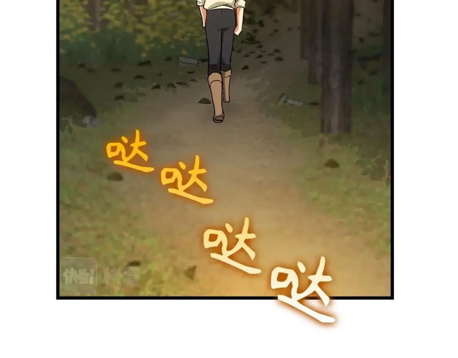 第223页