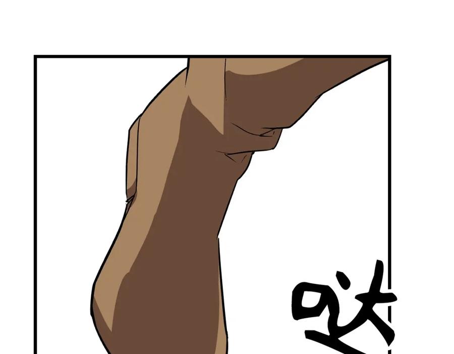 第234页