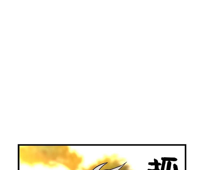 第239页