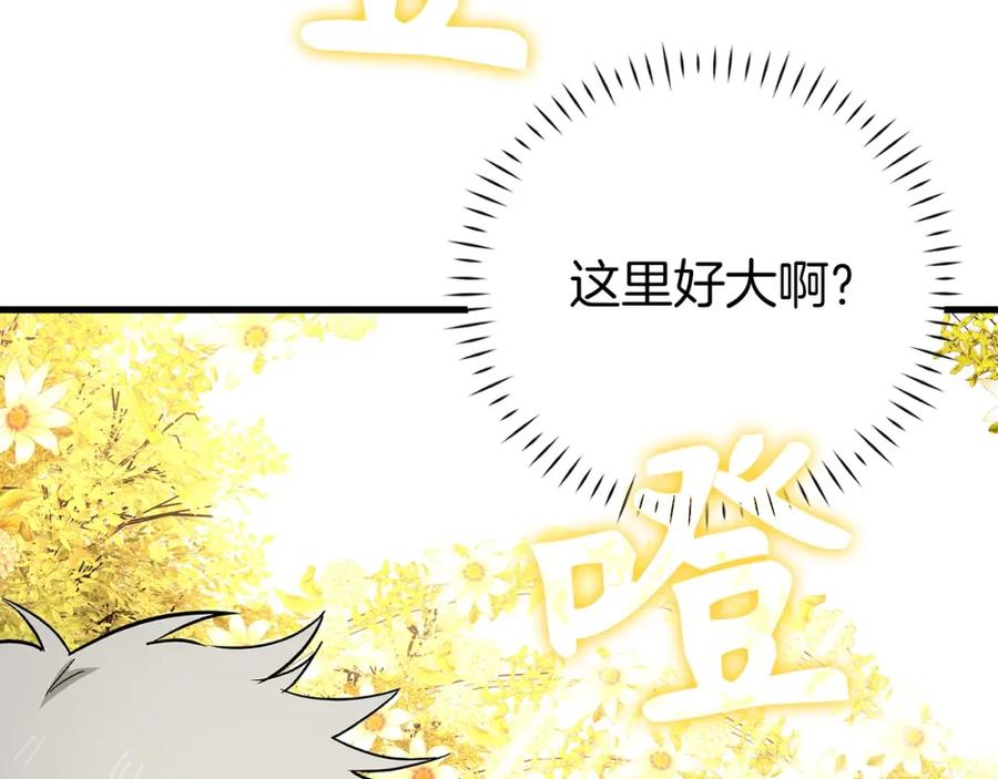 第254页