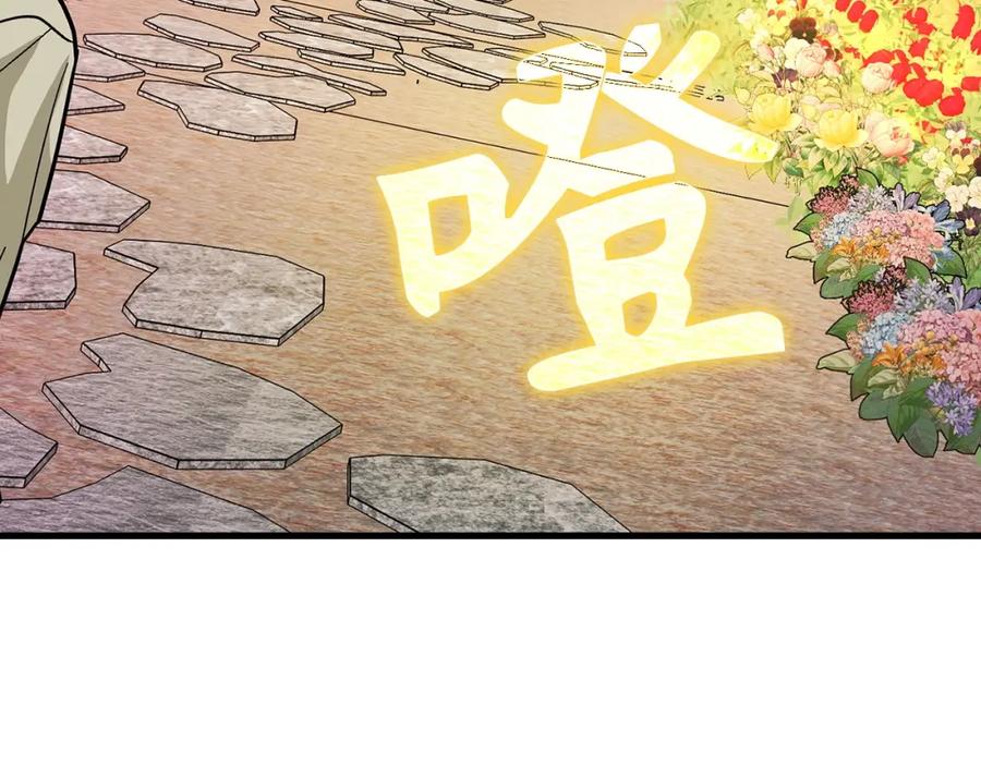 第256页