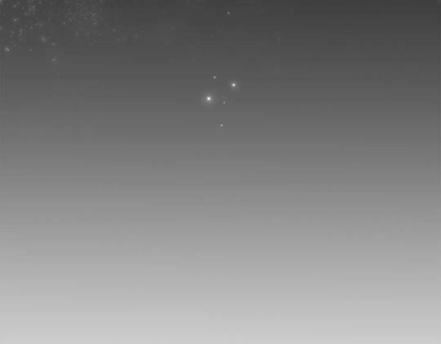 第196页