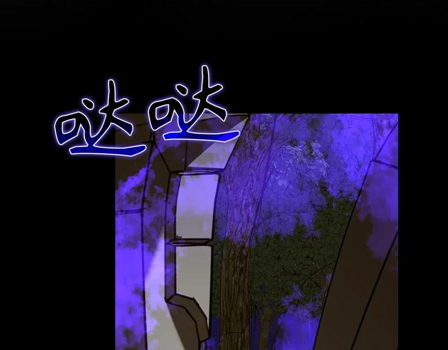 第207页