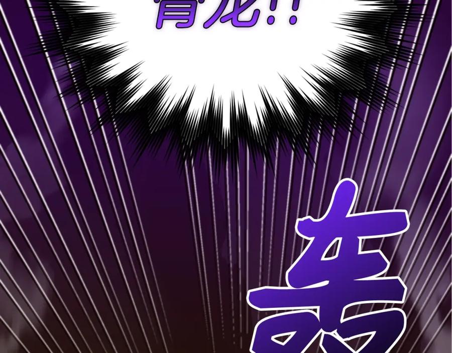 第223页