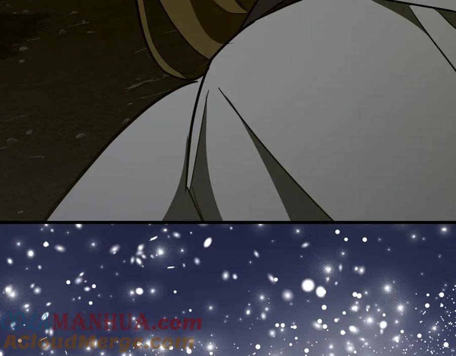 第205页
