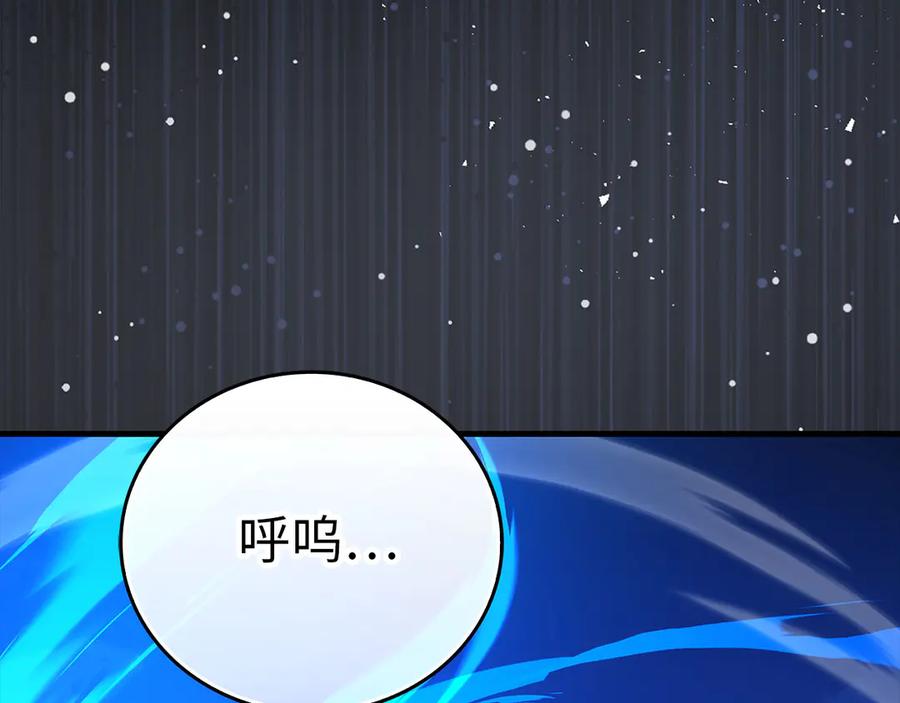 第223页