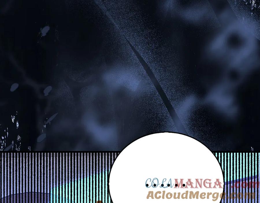 第205页