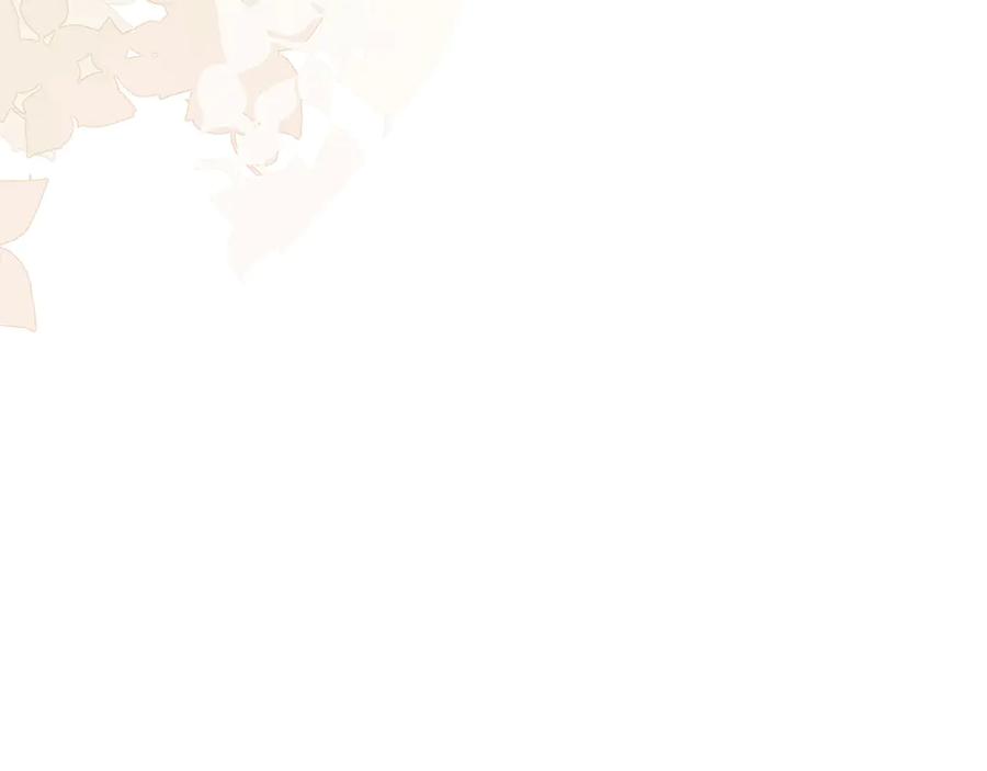 第206页