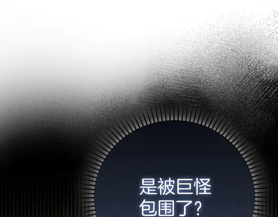 第223页