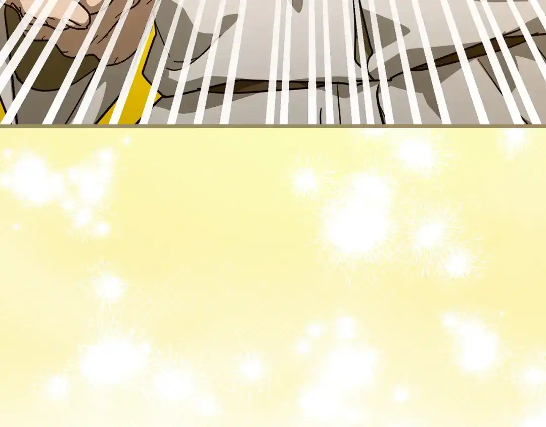 第215页