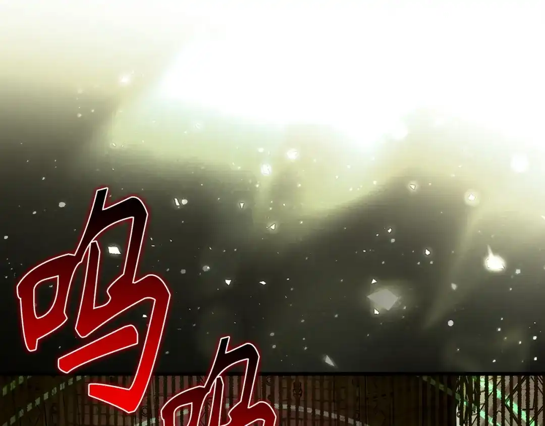 第215页