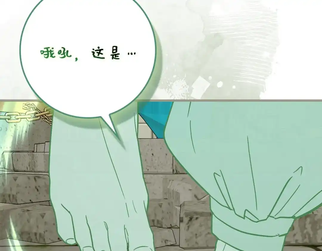 第213页