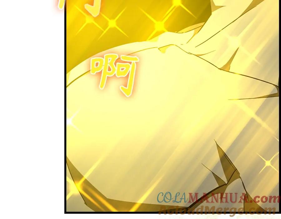 第205页