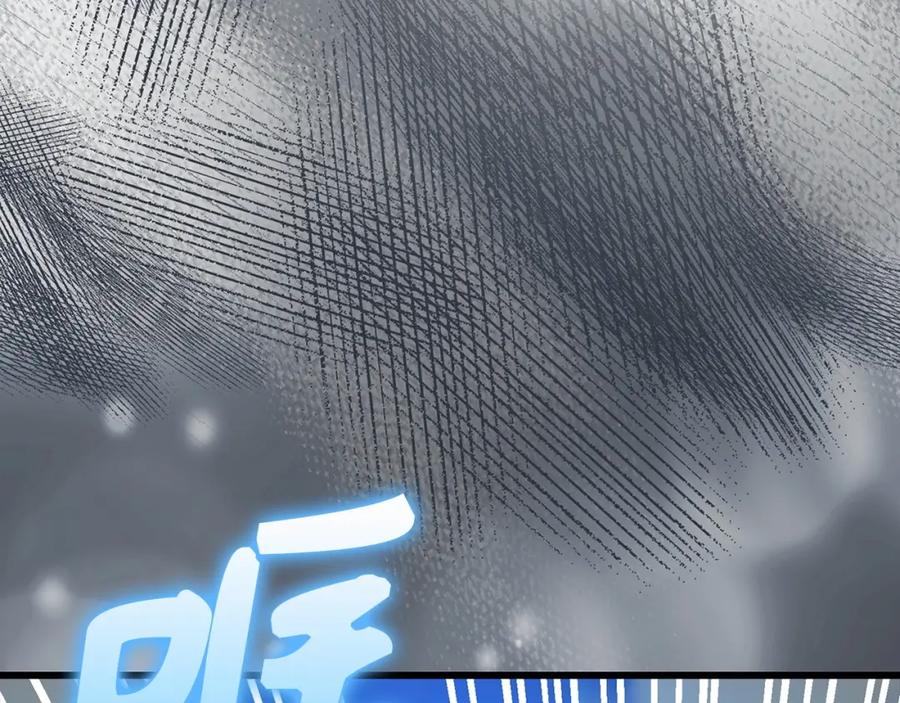 第223页