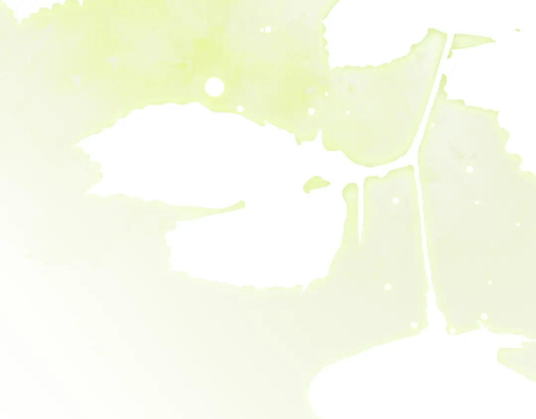 第219页