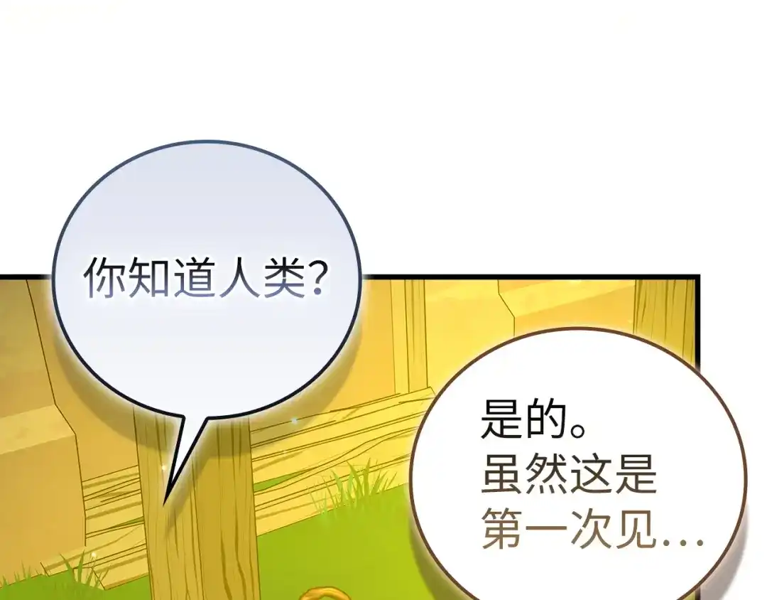 圣子是什么狗屁，这是现代医学的力量 第166话 第137页