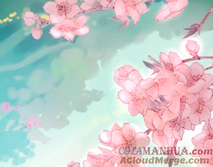 第494页