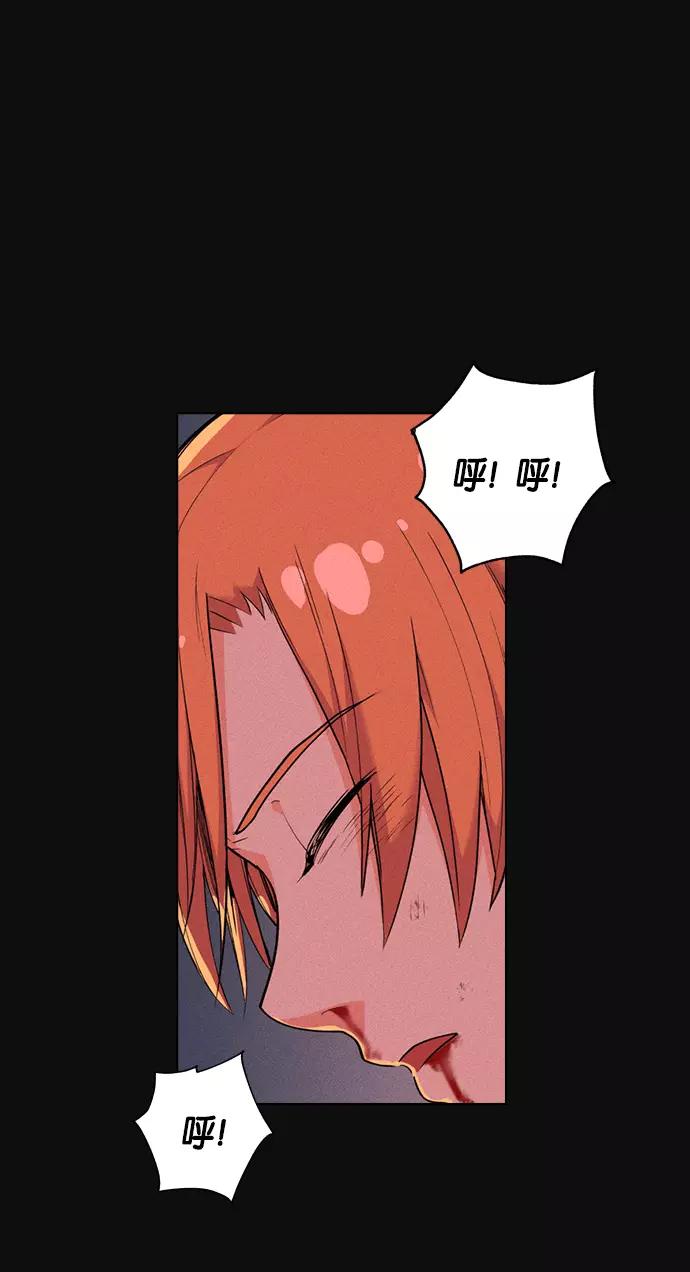 第215页