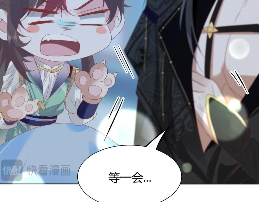 第205页