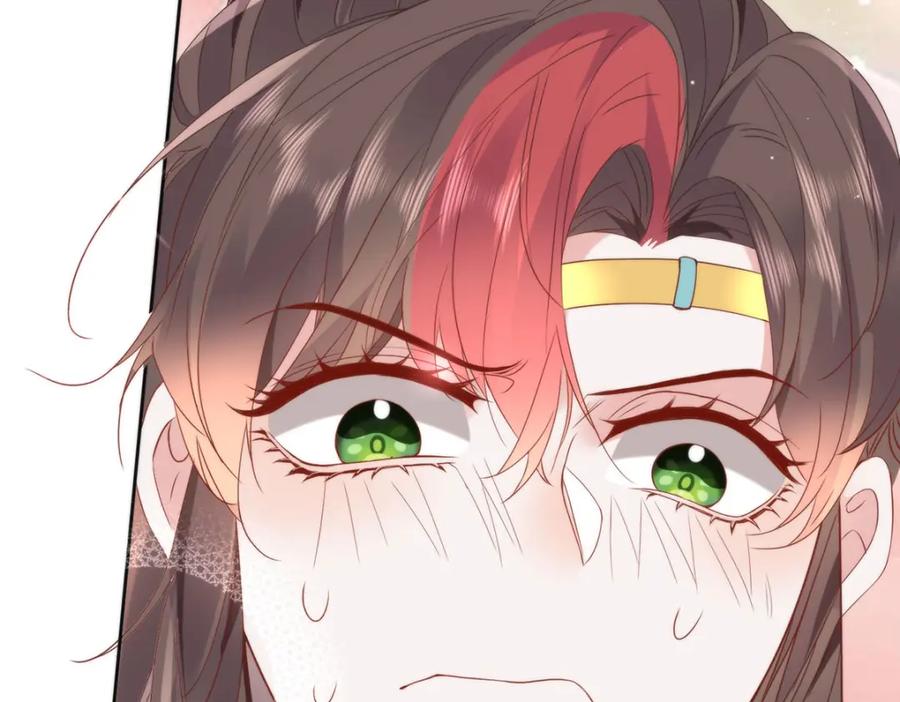 第221页