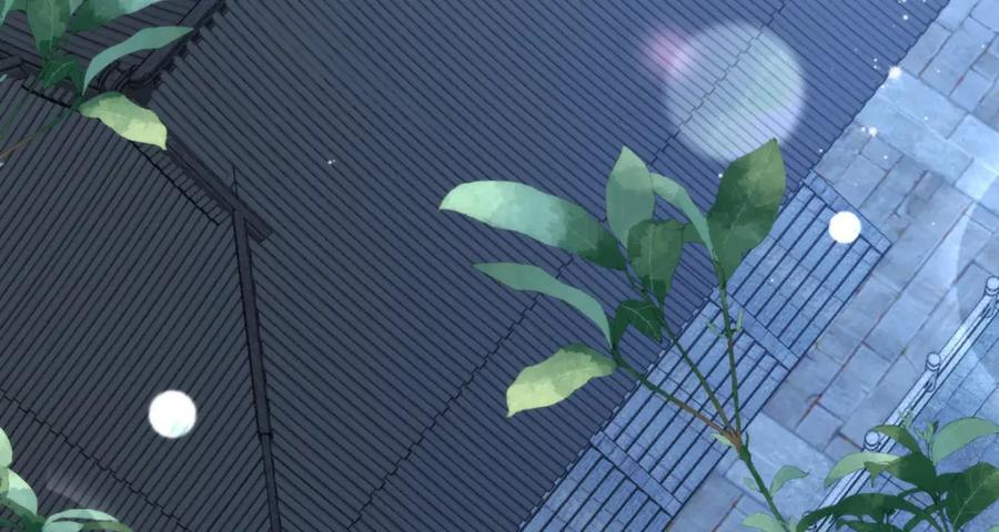 第231页