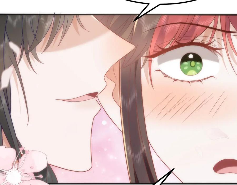 第223页