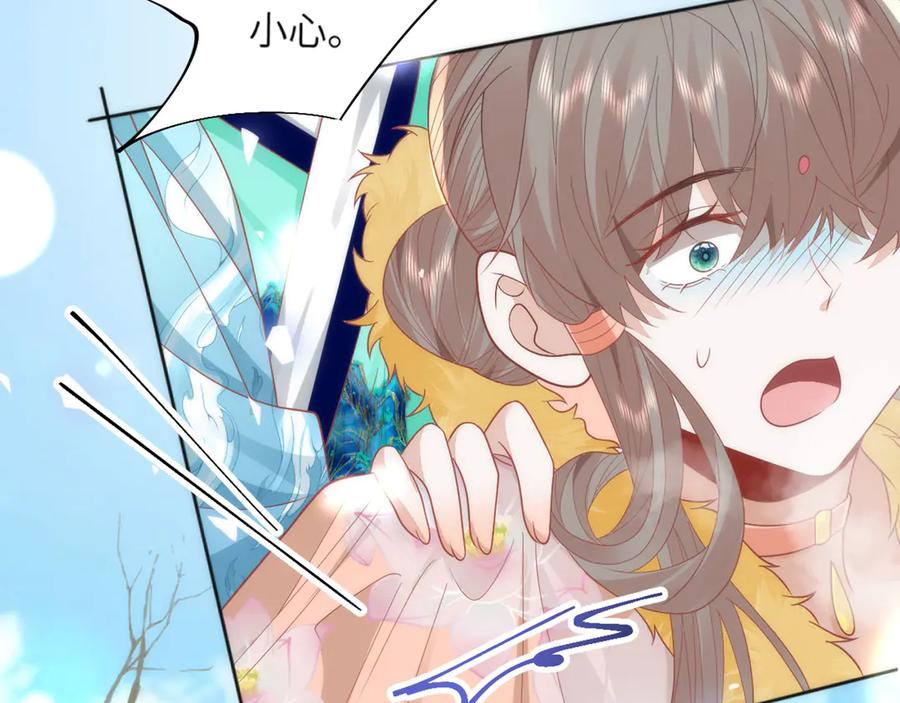 第204页
