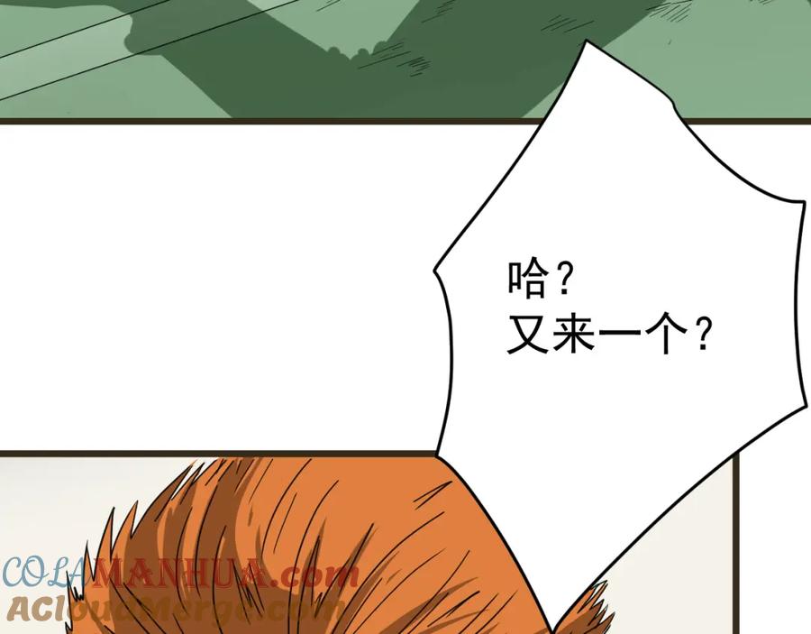 第233页