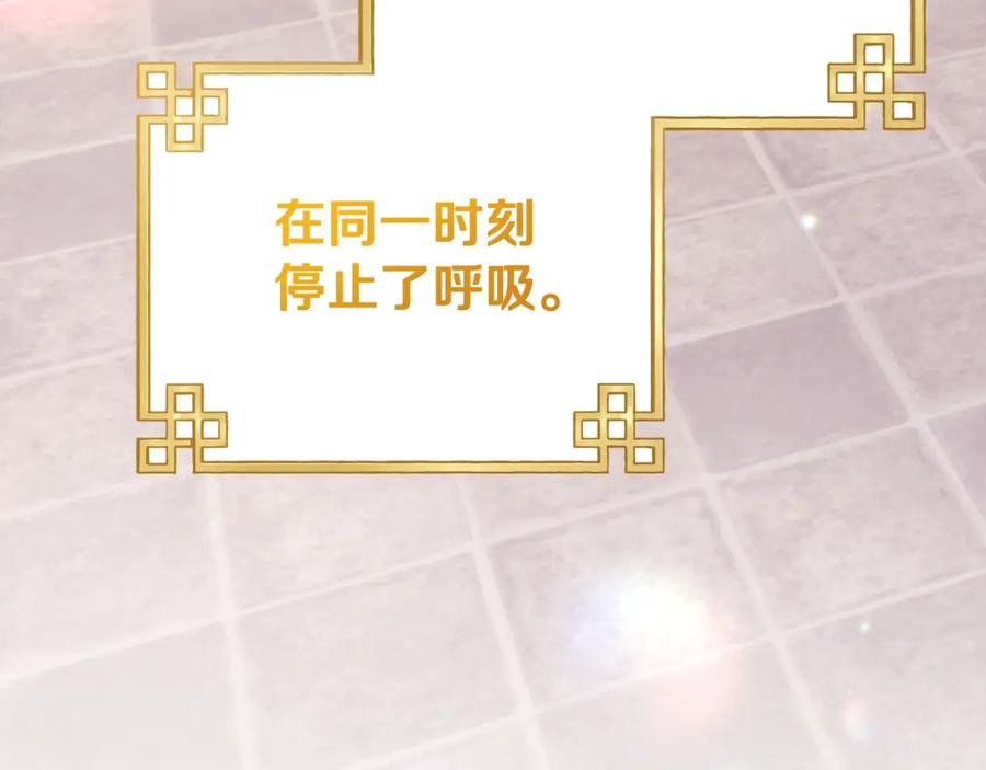 第228页