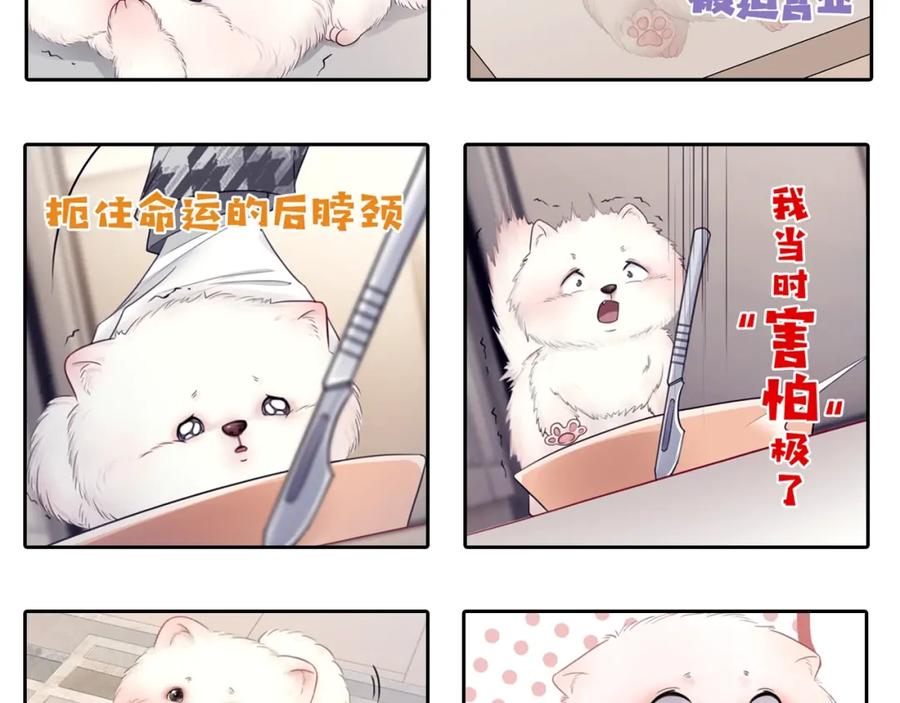 第146页