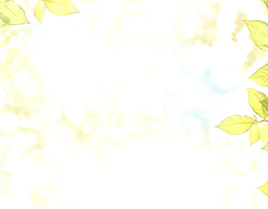 第204页